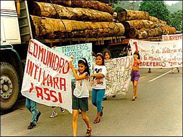 One of CIWY’s early conservation efforts against deforestation