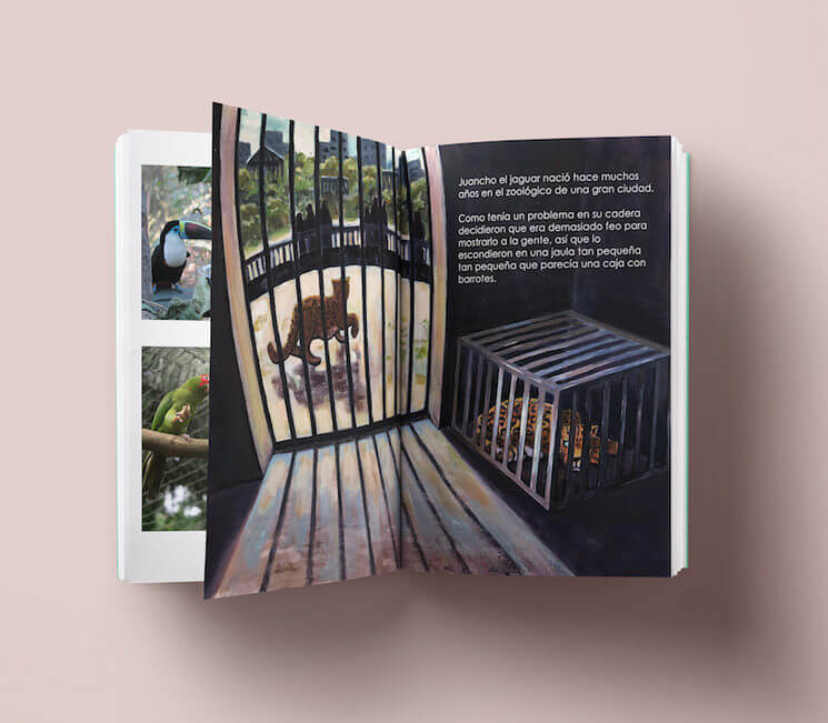 Crowdfunding campaign on Verkami