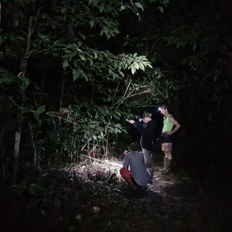 Full-moon night walk
