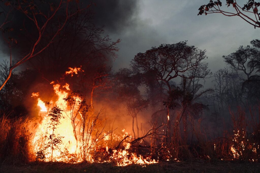 Wildfires